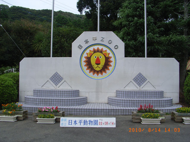日本平動物園201008｜ホッキョクグマと三角コーン